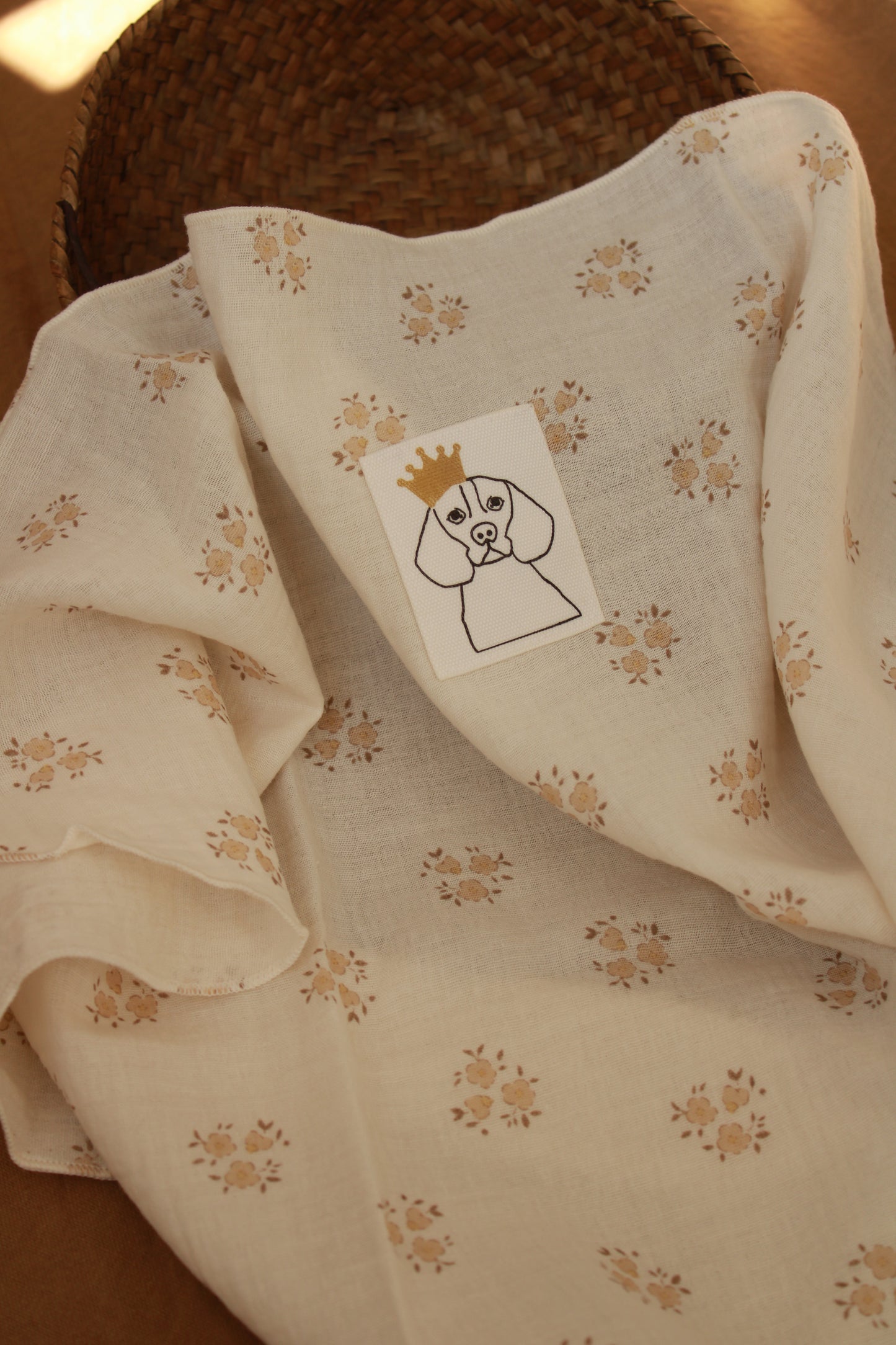 muselina-sia-arena-11