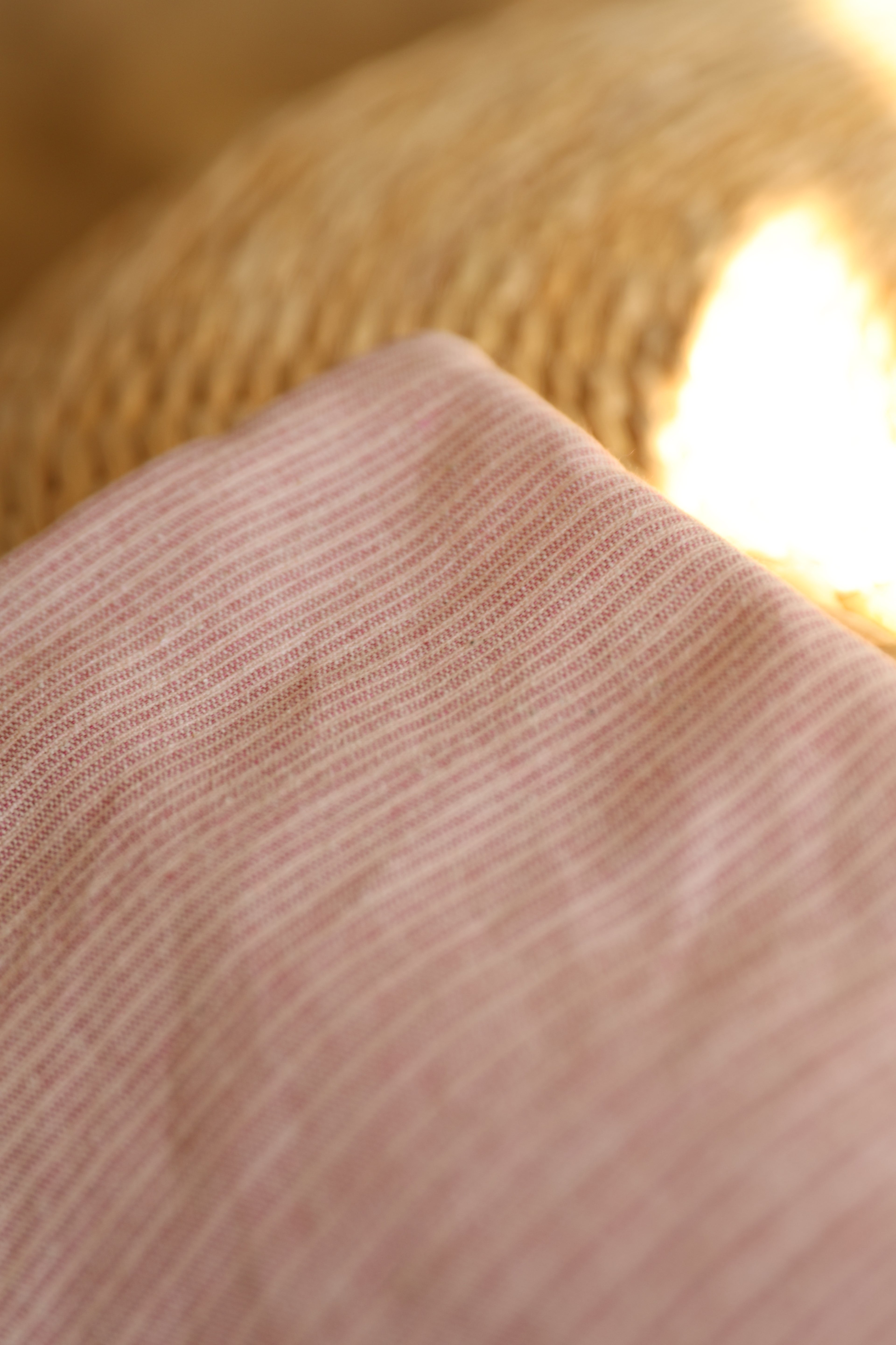 Protector de Mini Stripe Rosa