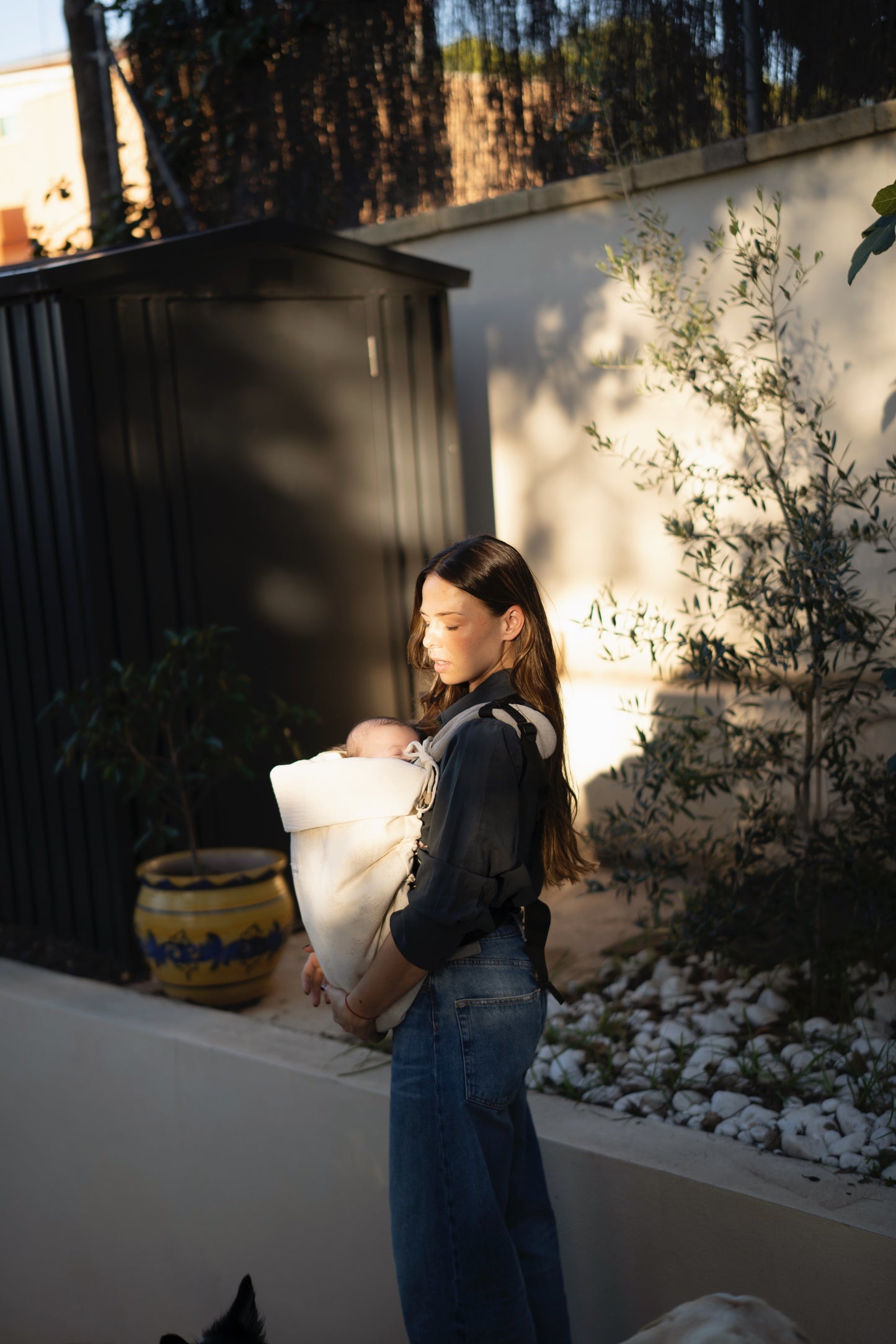 Arrullo de Porteo René + Gasa Cruda