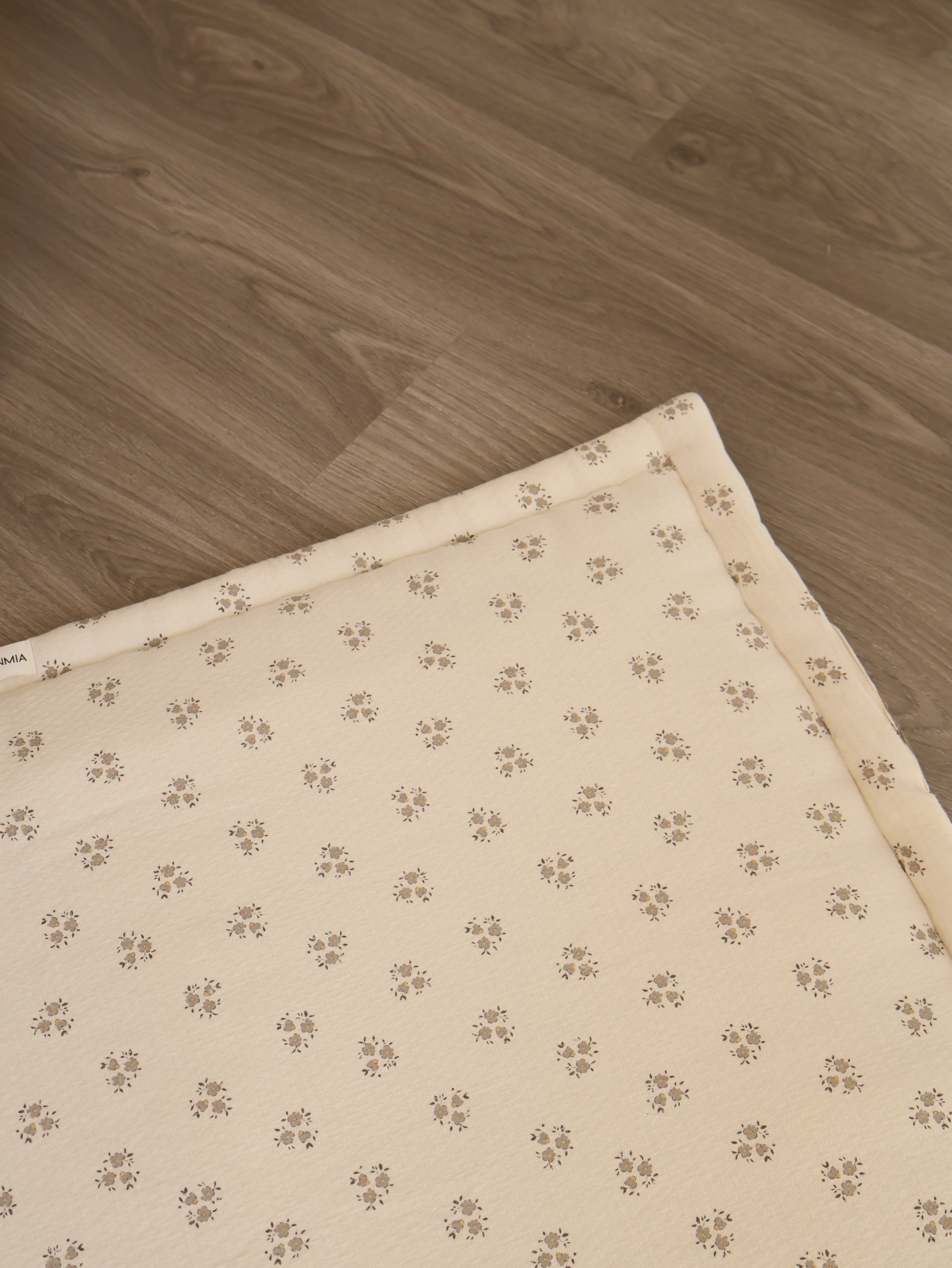 Couverture de jeu Inti Grey