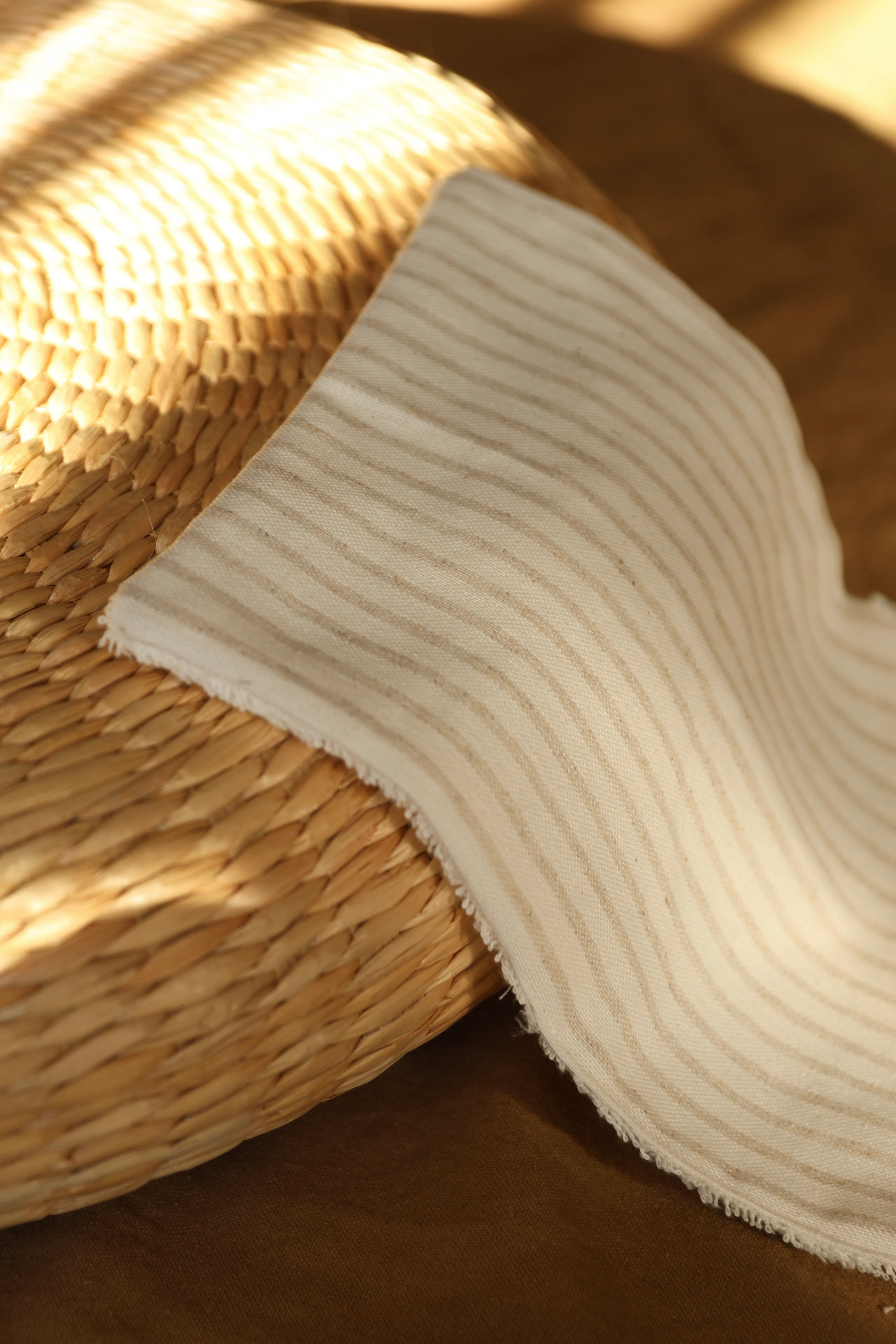 Protector de Mini Stripe Arena