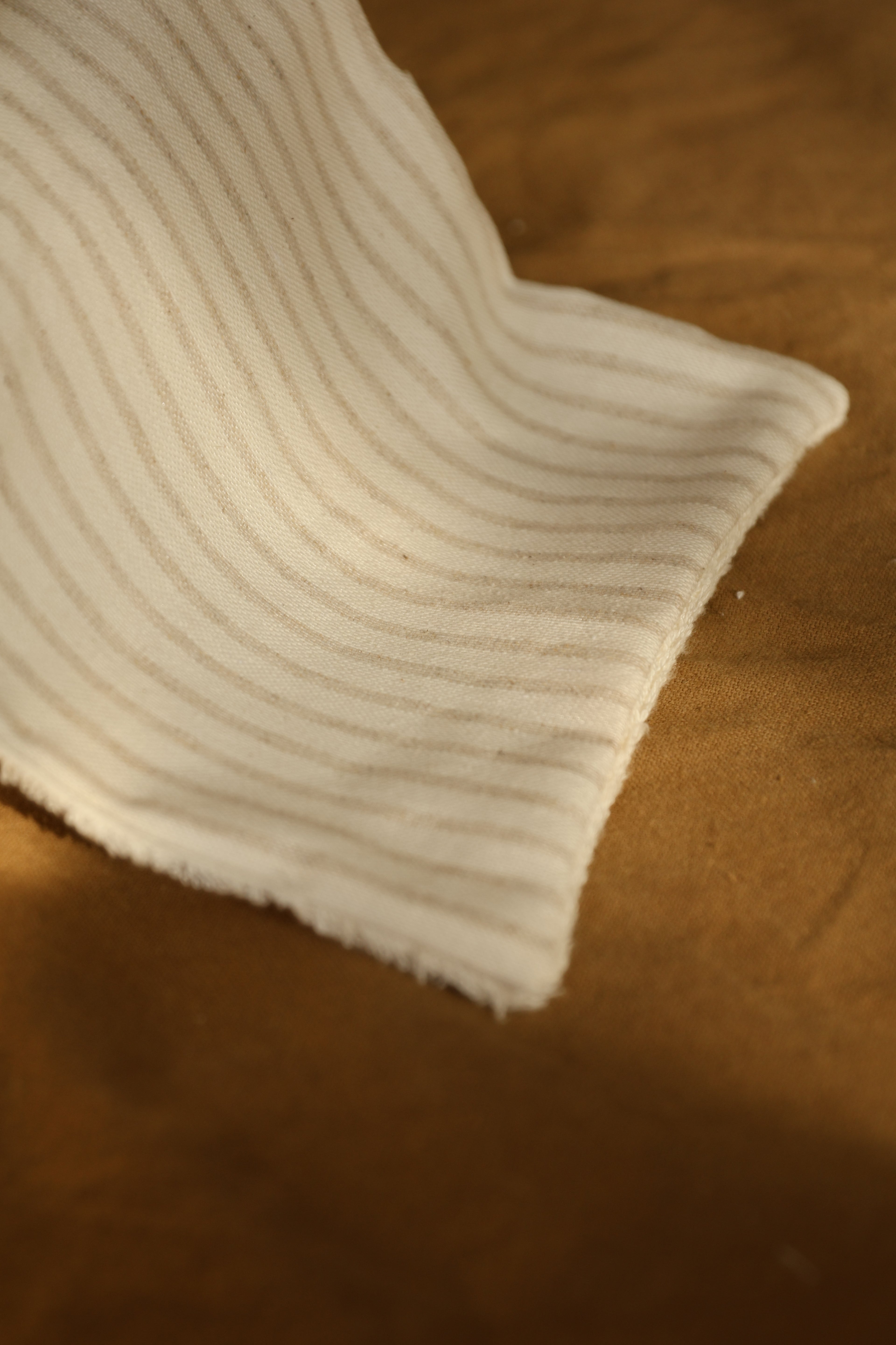 Protector de Mini Stripe Arena