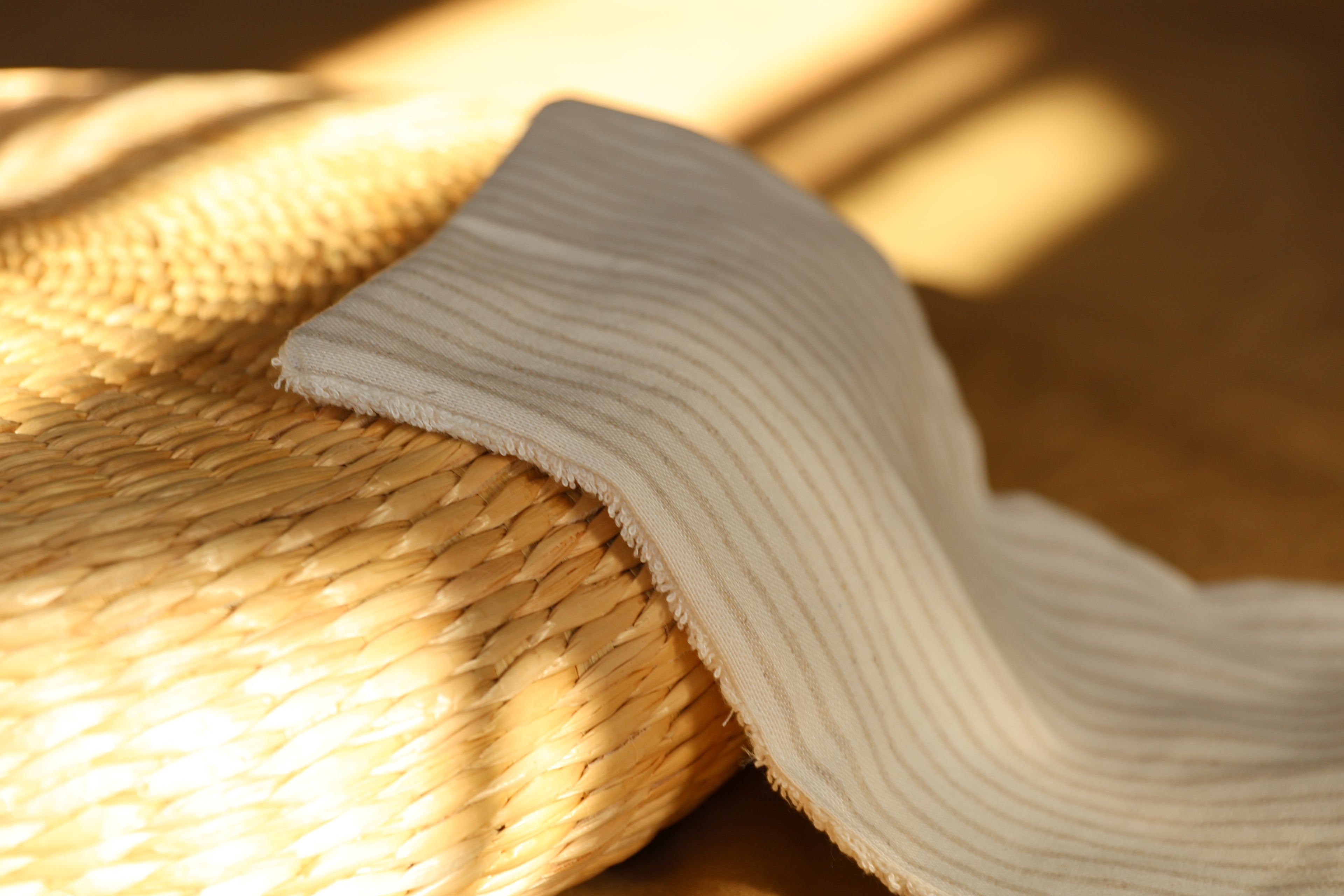 Protector de Mini Stripe Arena