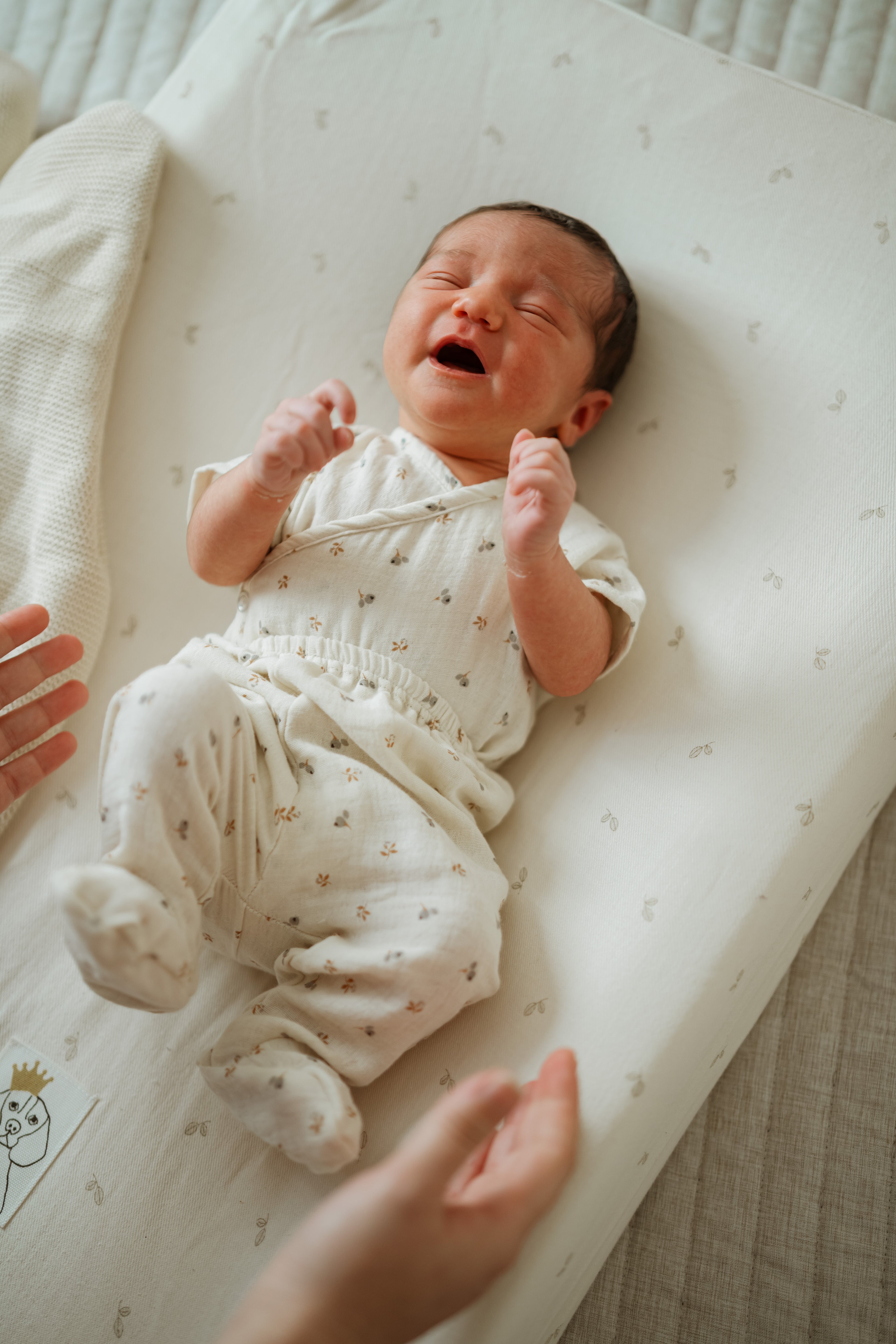 Funda Cambiador Cello Oliva