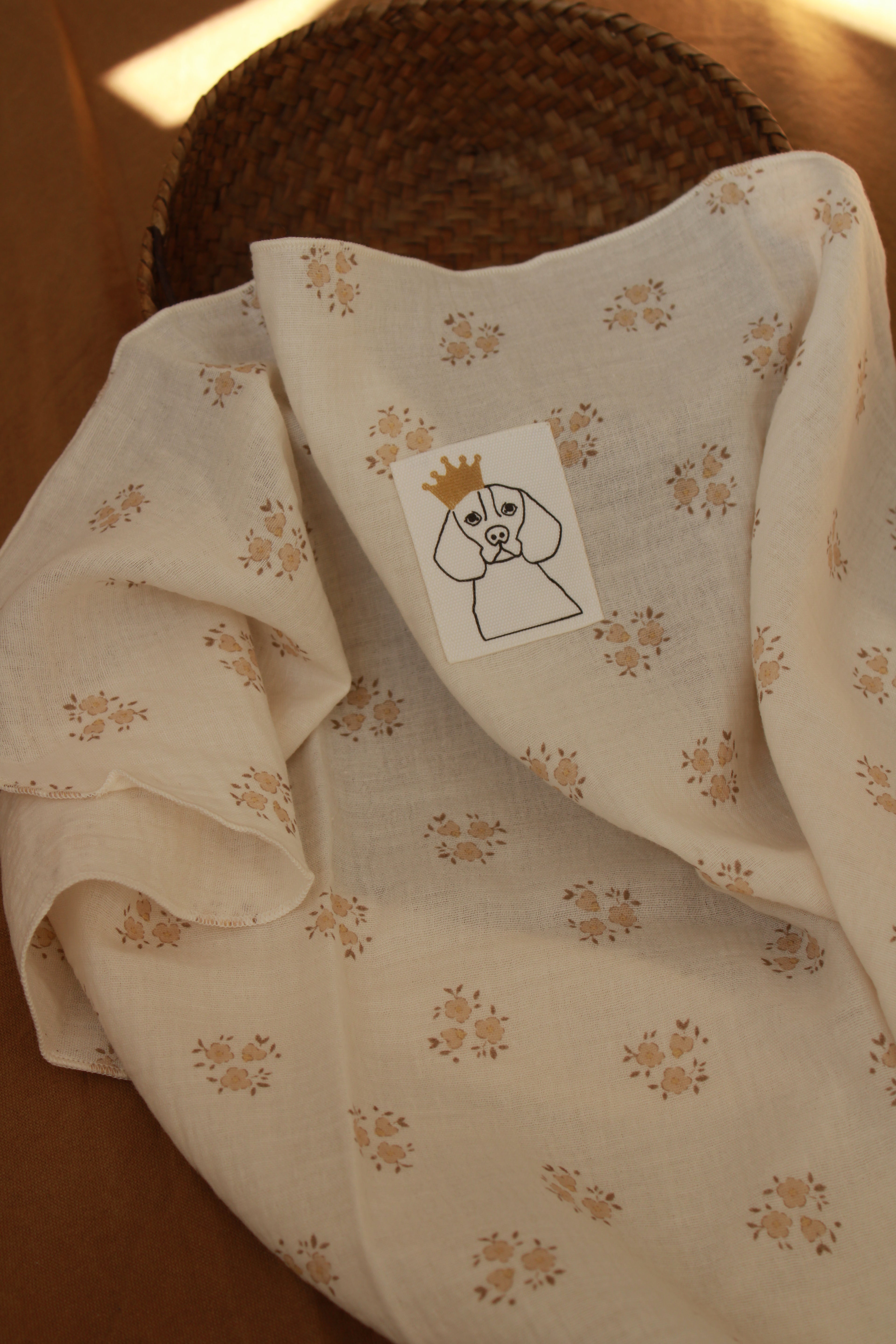 muselina-sia-arena-7